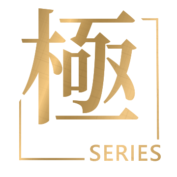 【極】系列LOGO